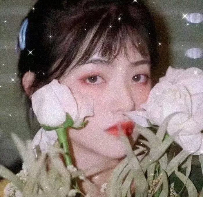 穿普拉达的女王