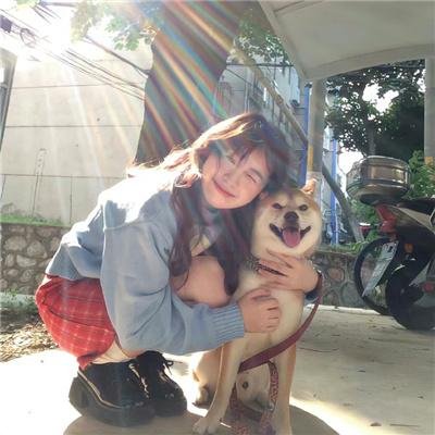 蒙克先生的最后一案:神探阿蒙大电影